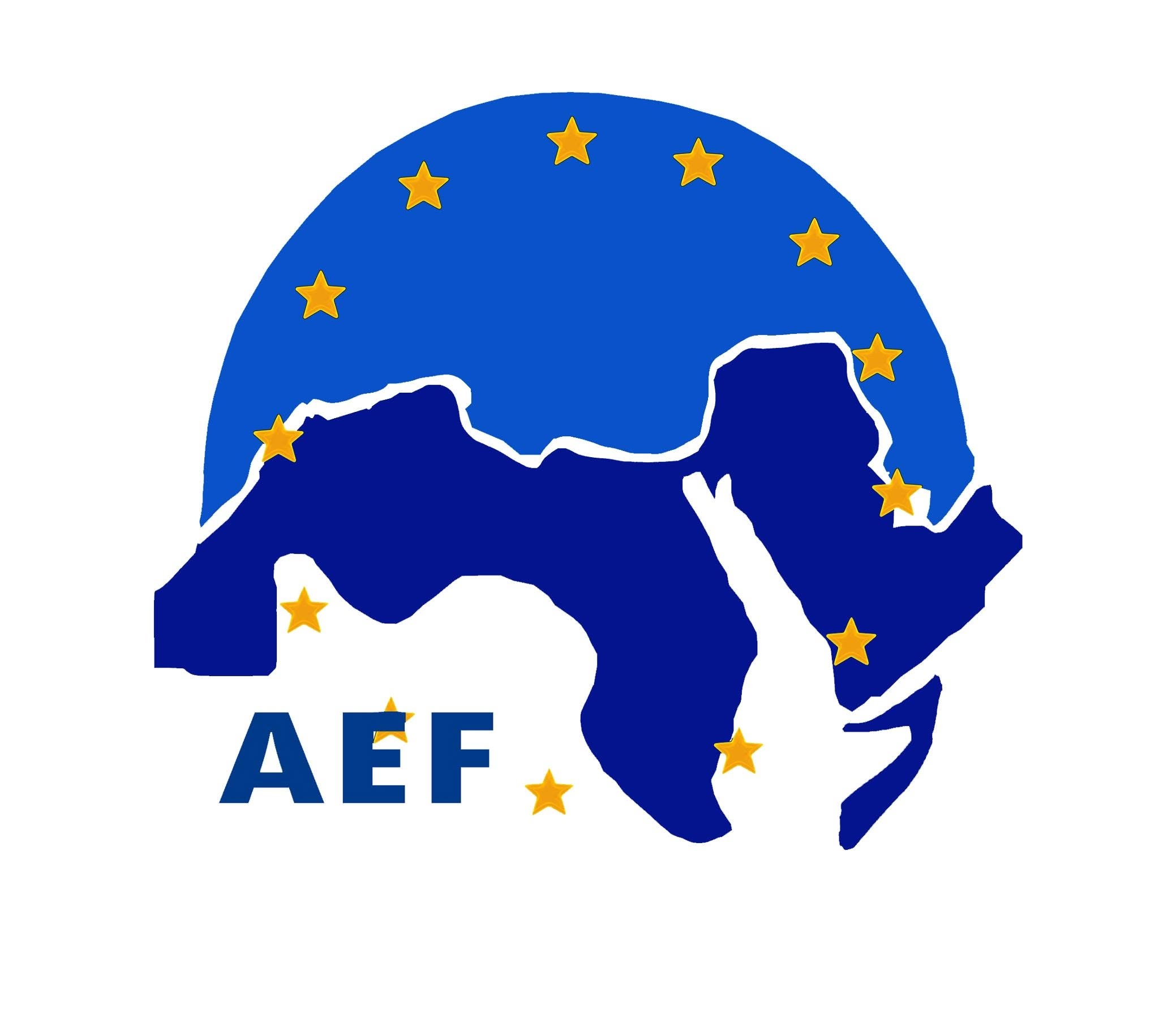 European Institution